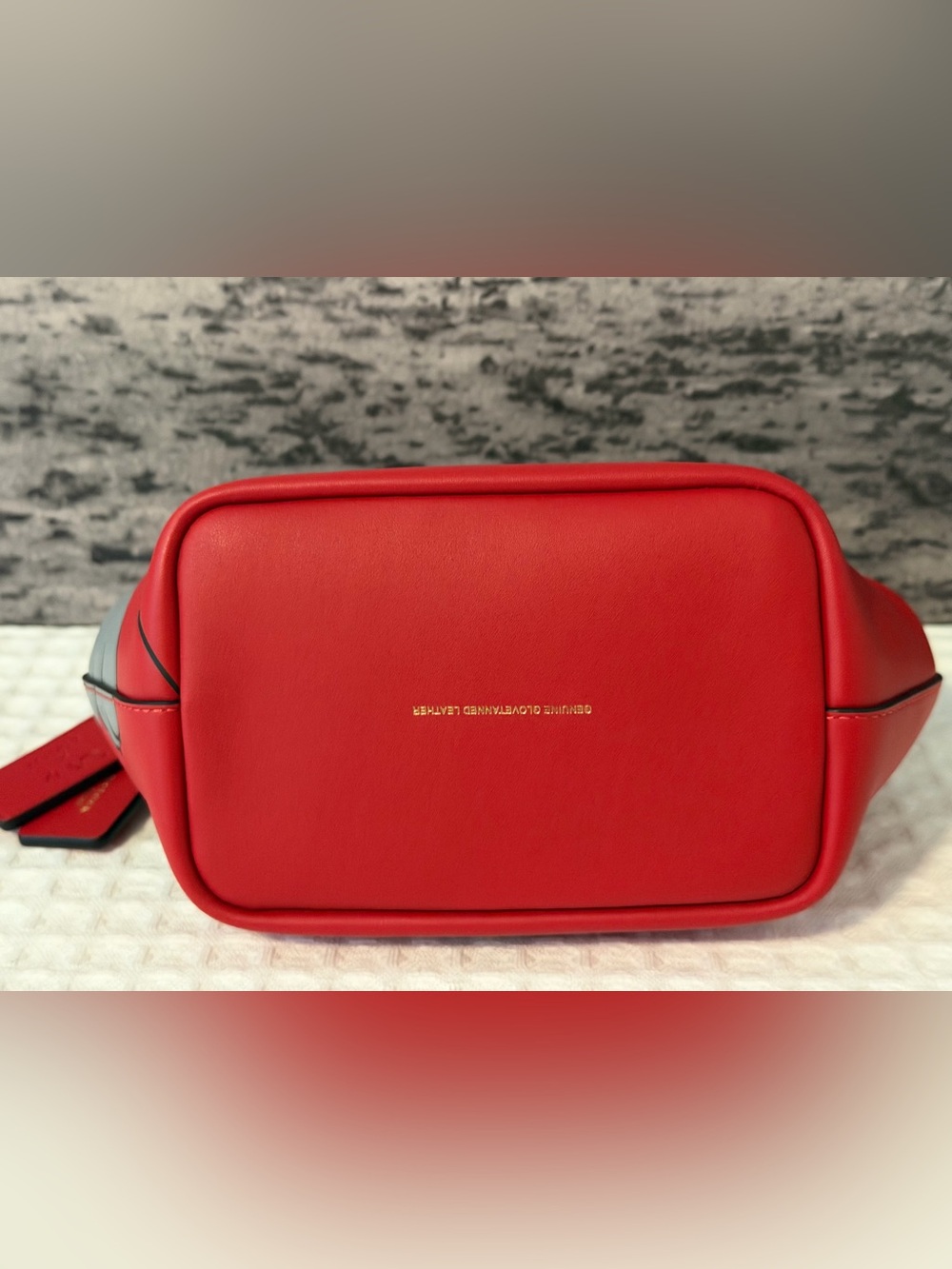 NWT Disney X Coach Kisslock Frame Bag with Sleepy Pluto Red Brass CDL98 - Picture 8 of 13
